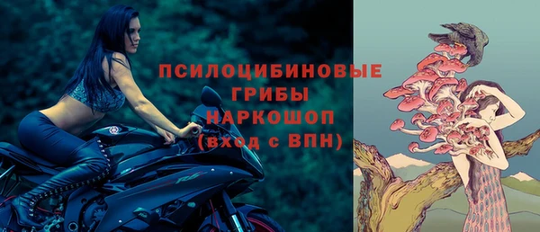 a pvp Алзамай