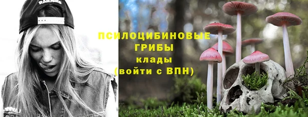 винт Алексин