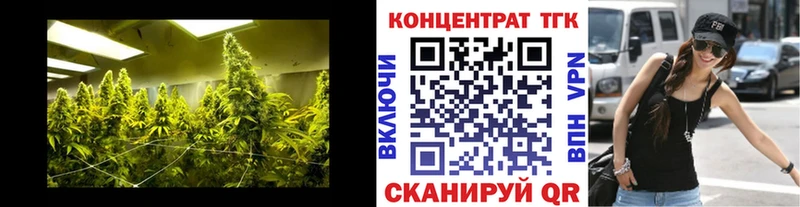 кракен рабочий сайт  Починок  ТГК вейп с тгк 