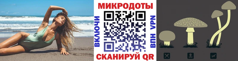 Псилоцибиновые грибы Psilocybine cubensis  МЕГА ССЫЛКА  Починок 